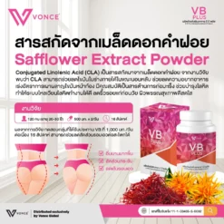 vb plus