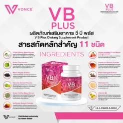 vb plus