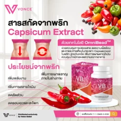 vb plus