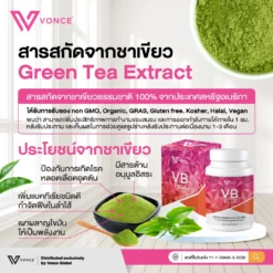 vb plus
