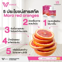 vb plus