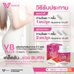 vb plus