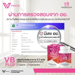 vb plus