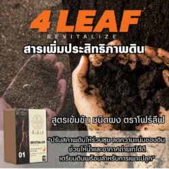 4LEAF โฟร์ ลีฟ Ravitalize 1