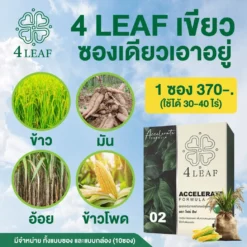 4LEAF โฟร์ลีฟ Accelerate 1