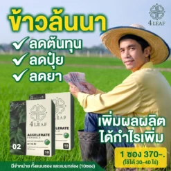 4LEAF โฟร์ลีฟ Accelerate 2