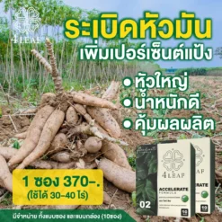 4LEAF โฟร์ลีฟ Accelerate 3