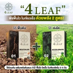 4LEAF โฟร์ลีฟ ravitalize accelerate 2