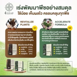 4LEAF โฟร์ลีฟ ravitalize accelerate 3