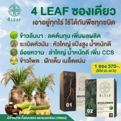 4LEAF โฟร์ลีฟ ravitalize accelerate 6