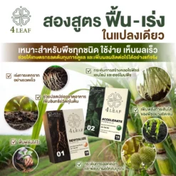 4LEAF โฟร์ลีฟ ravitalize accelerate 7