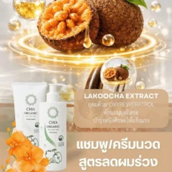 chia-shampoo-conditioner-6